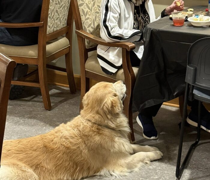 571115580_1401969328318300_4888929325633063123_n